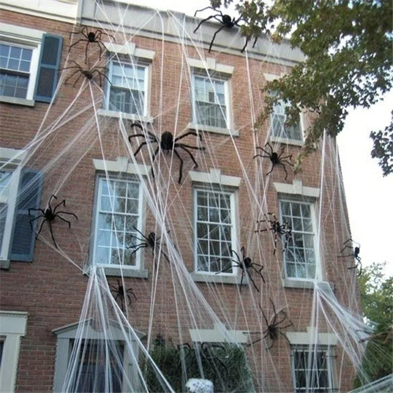 Creepy Giant Spider